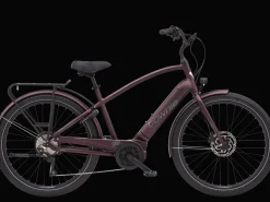 Trek Bikes Townie Path Go! 10D EQ Step-Over