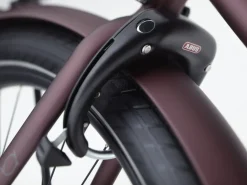 Trek Bikes Townie Path Go! 10D EQ Step-Over