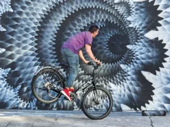 Trek Bikes Townie Path Go! 10D EQ Step-Over