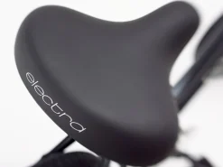 Trek Bikes Townie Path Go! 10D EQ Step-Over