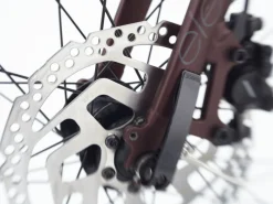 Trek Bikes Townie Path Go! 10D EQ Step-Over