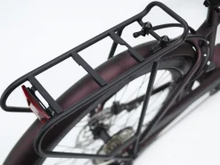 Trek Bikes Townie Path Go! 10D EQ Step-Over
