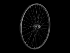 Trek Bikes Trek Alex DP23/Centerlock 36H Bolt-on 700c Wheel
