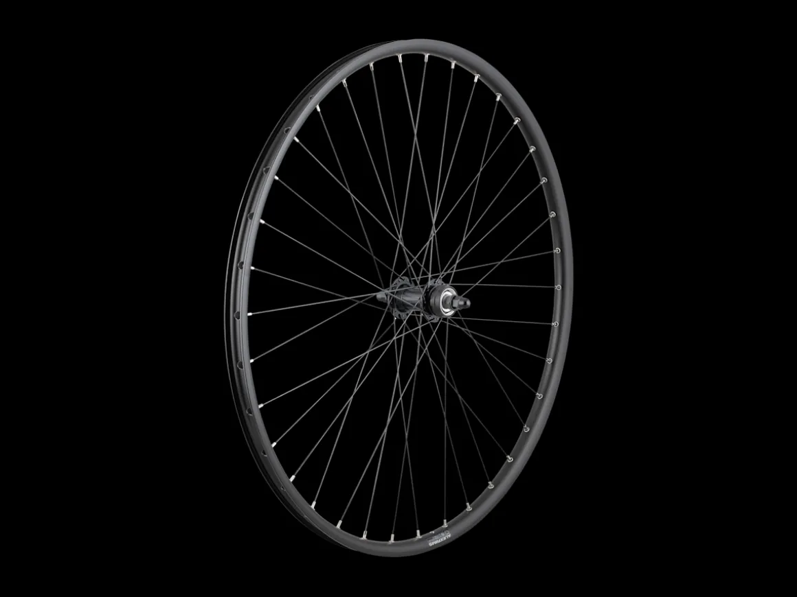 Trek Bikes Trek Alex DP23/Centerlock 36H Bolt-on 700c Wheel