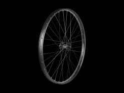 Trek Bikes Trek Alex MD35 Boost 29" MTB Wheel