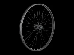 Trek Bikes Trek Alex MD35 Boost 29" MTB Wheel