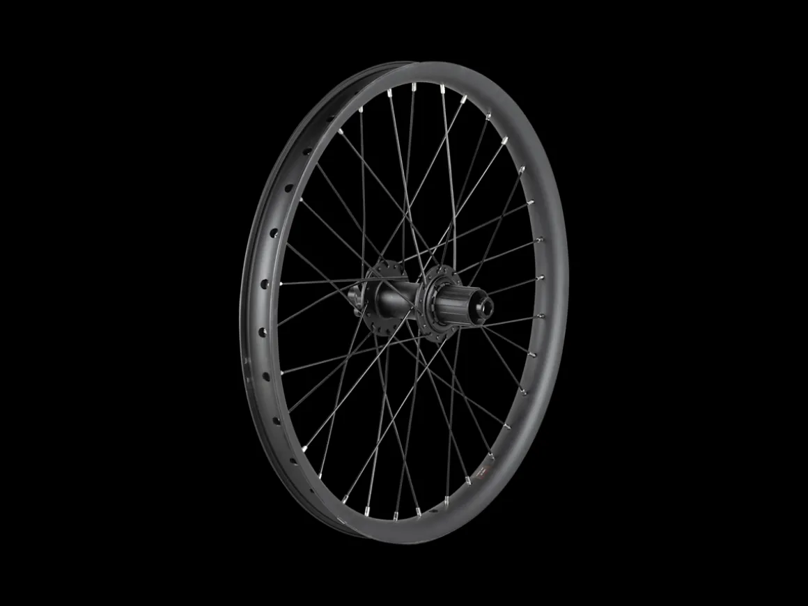 Trek Bikes Trek Cargo Bike 6-Bolt Disc 20" Wheel