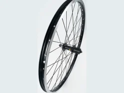 Trek Bikes Trek Kids' Quick Release Center Lock Disc 24" Wheel
