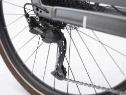 Trek Bikes Vale Go! 9D EQ