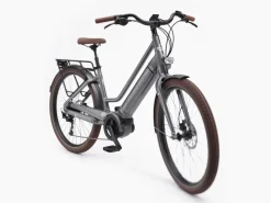 Trek Bikes Vale Go! 9D EQ
