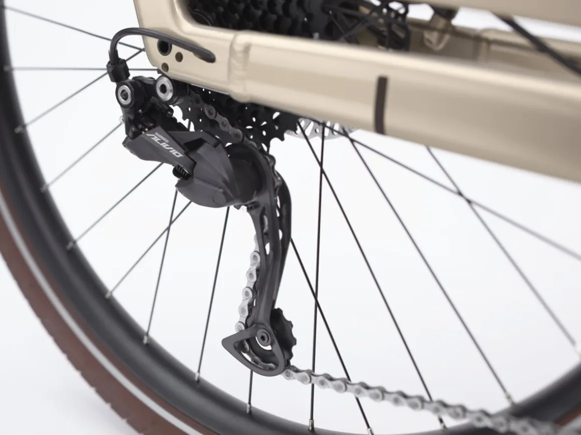 Trek Bikes Vale Go! 9D EQ S