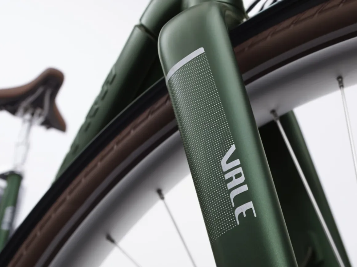 Trek Bikes Vale Go! 9D EQ S
