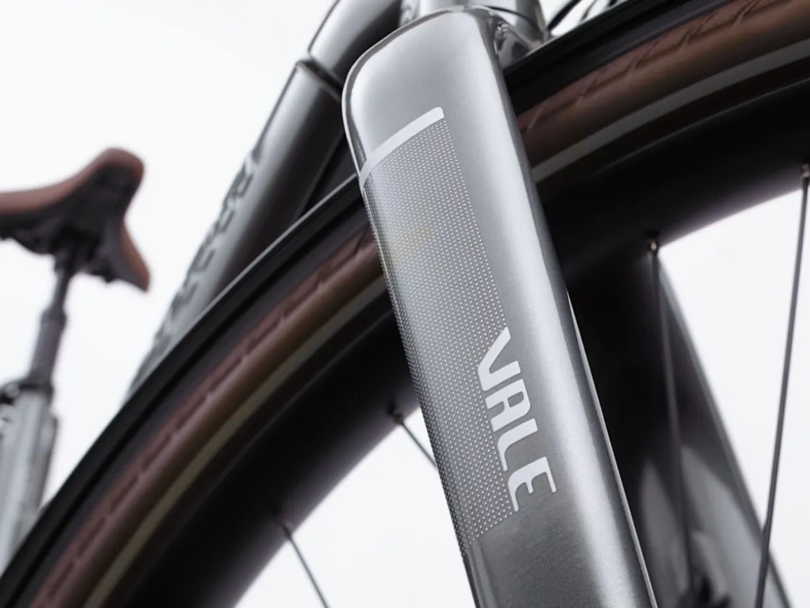 Trek Bikes Vale Go! 9D EQ S
