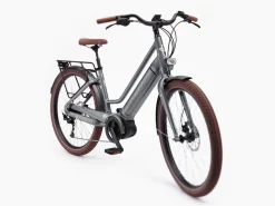 Trek Bikes Vale Go! 9D EQ S