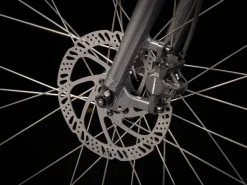 Trek Bikes Verve 2 Disc Gen 4