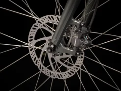Trek Bikes Verve 2 Disc Lowstep Gen 4