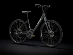Trek Bikes Verve 2 Disc Lowstep Gen 4