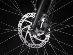 Trek Bikes Verve 2 Lowstep Gen 4