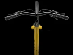 Trek Bikes Verve 2 Lowstep Gen 5