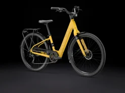 Trek Bikes Verve+ 1 Lowstep LT