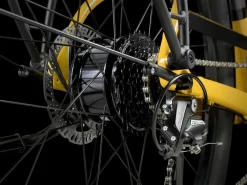 Trek Bikes Verve+ 1 Lowstep LT
